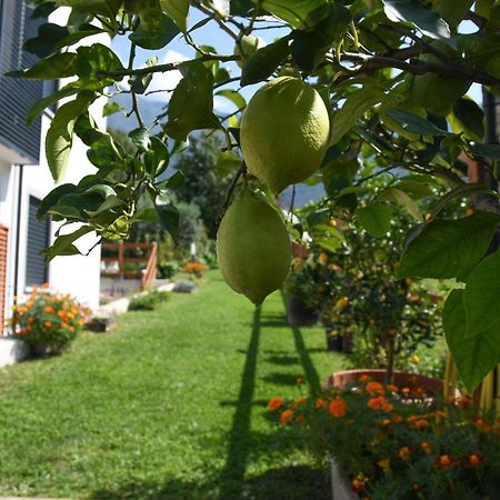 Il Giardino Dei Ciliegi Apartment Colico Exterior photo
