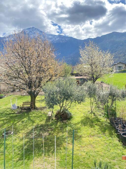 Il Giardino Dei Ciliegi Apartment Colico Exterior photo