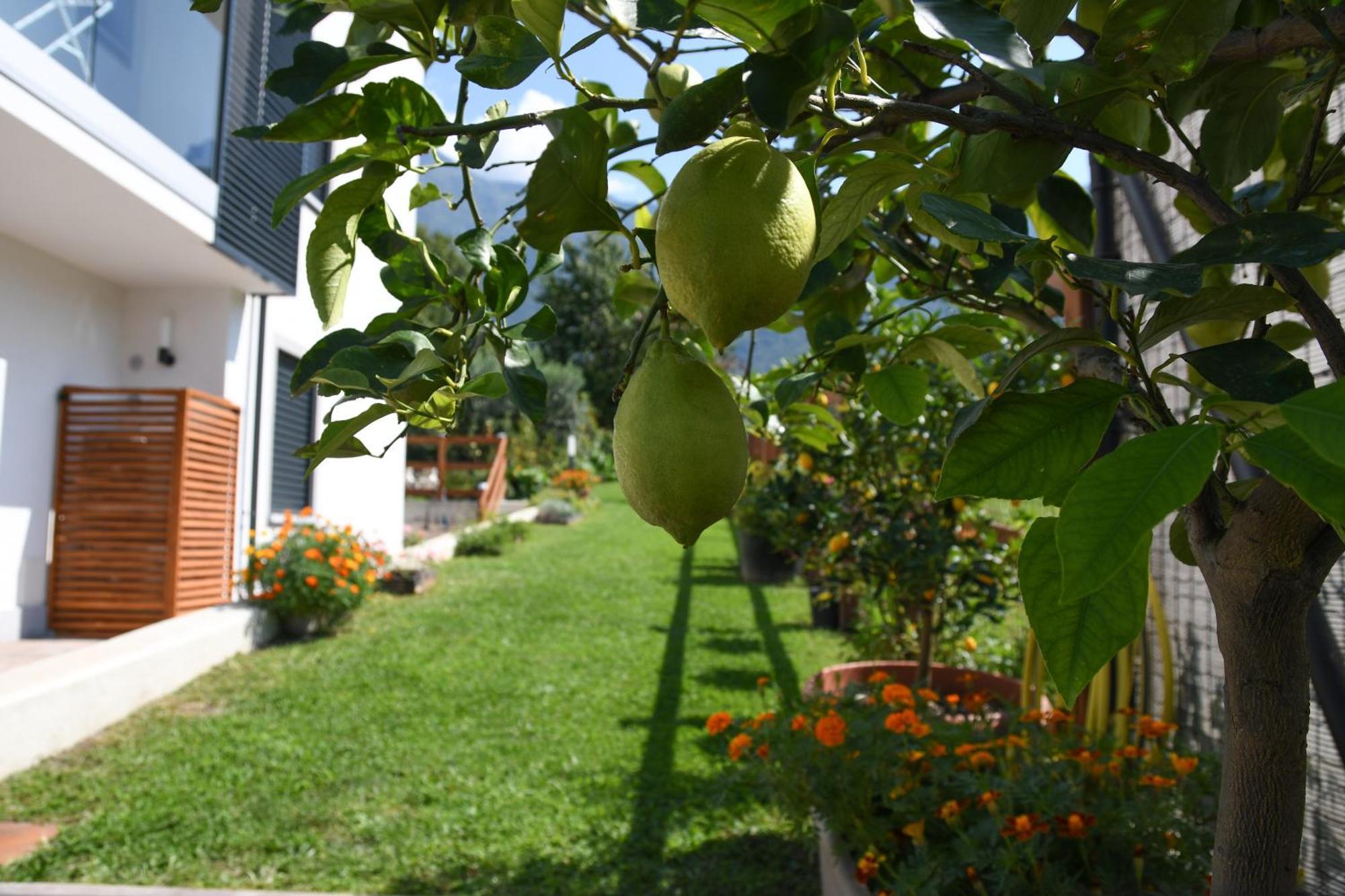 Il Giardino Dei Ciliegi Apartment Colico Exterior photo