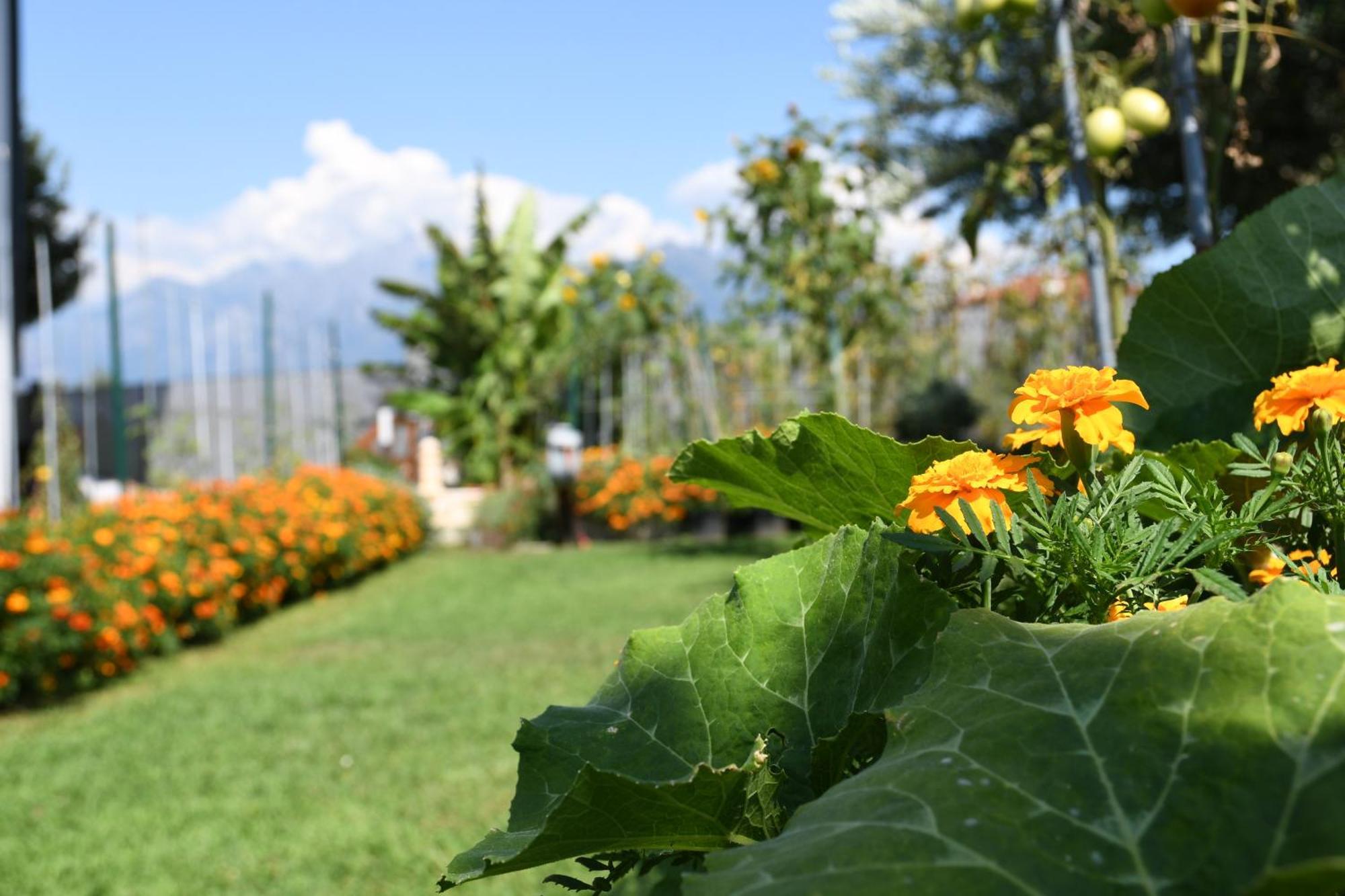 Il Giardino Dei Ciliegi Apartment Colico Exterior photo