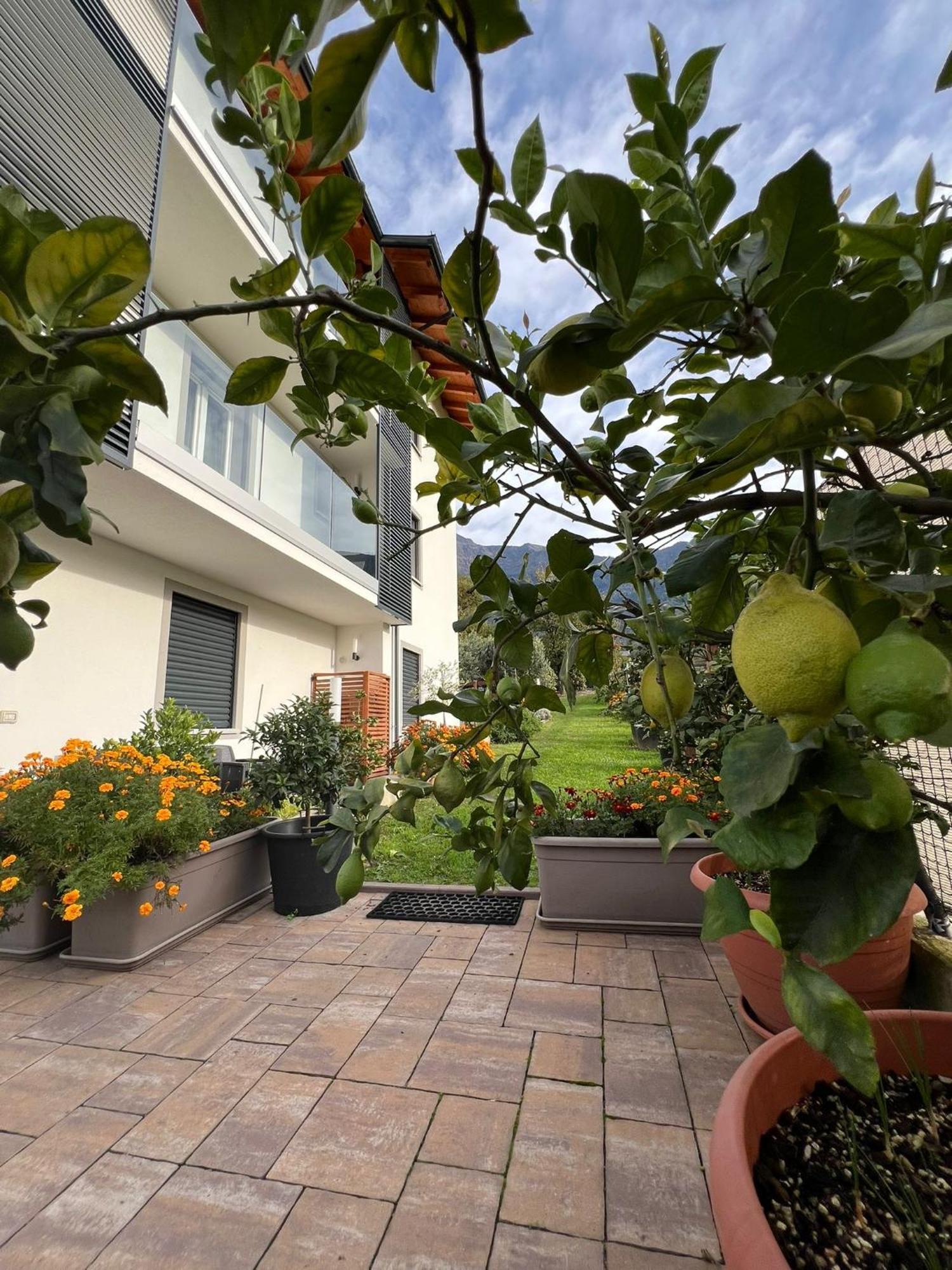 Il Giardino Dei Ciliegi Apartment Colico Exterior photo