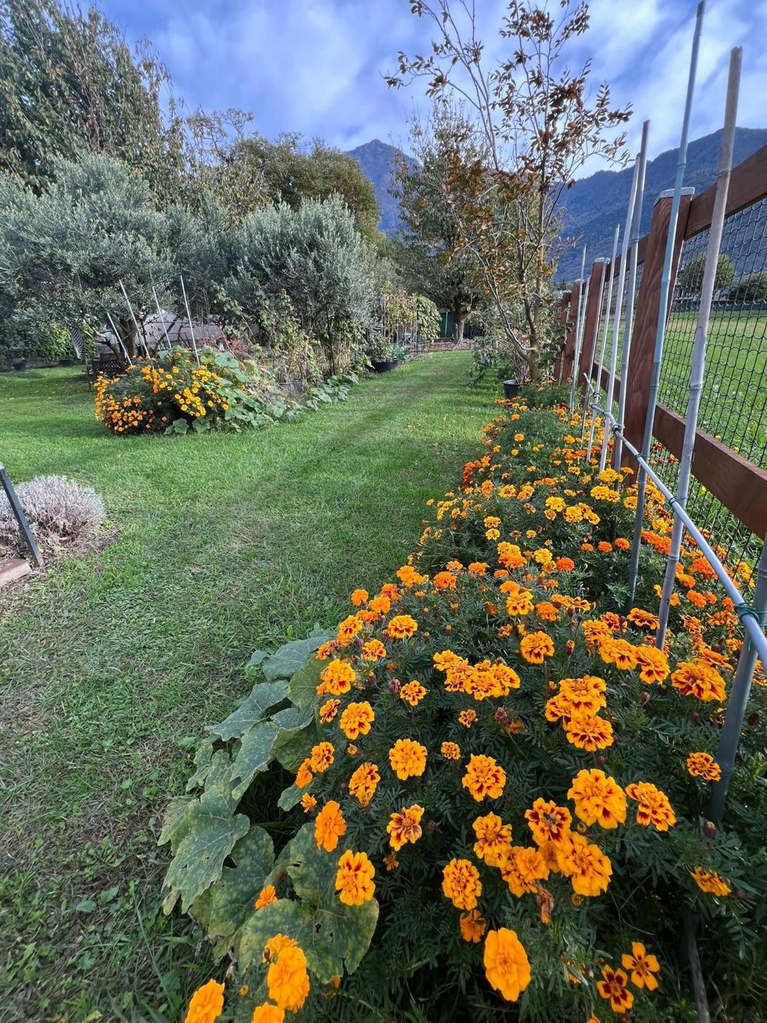 Il Giardino Dei Ciliegi Apartment Colico Exterior photo